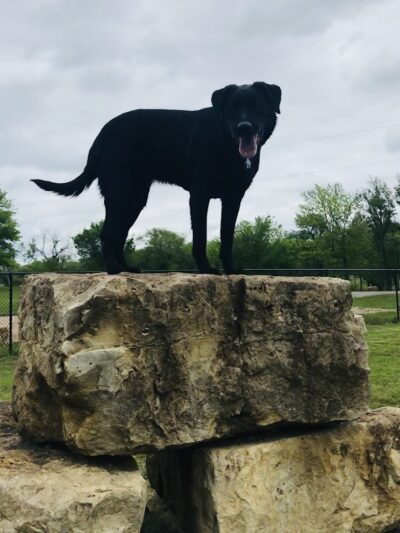Dog Park in Andover Central Park - Andover, KS