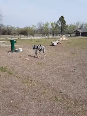 Dog Park in Andover Central Park - Andover, KS