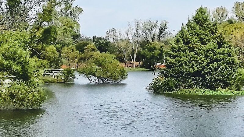 Dog Park in Andover Central Park - Andover, KS