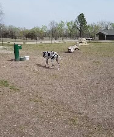 Dog Park in Andover Central Park - Andover, KS