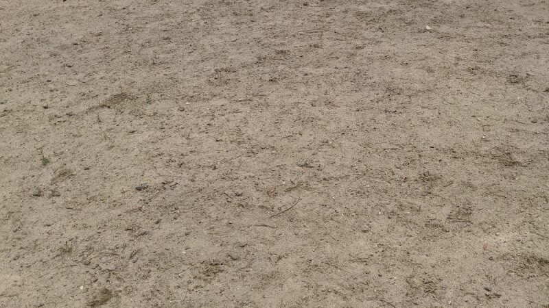 Andover Dog Park - Andover, MA