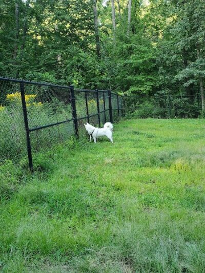 Andover Dog Park - Andover, MA