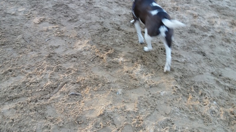 Andover Dog Park - Andover, MA