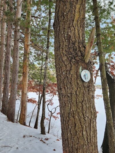 Haggetts Pond Trail - Andover, MA