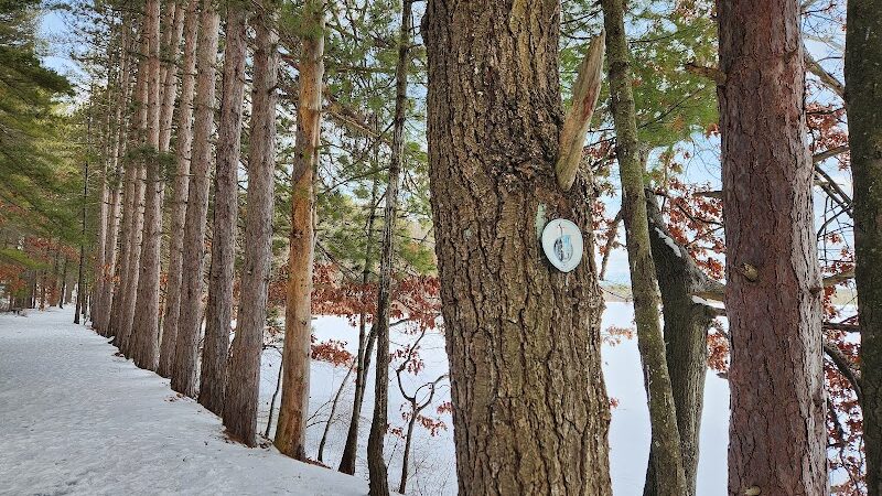 Haggetts Pond Trail - Andover, MA