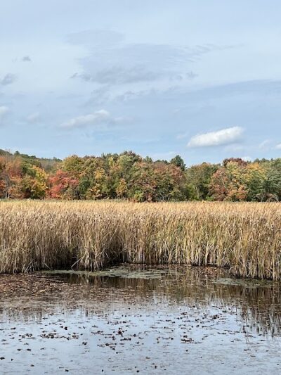 Haggetts Pond Trail - Andover, MA