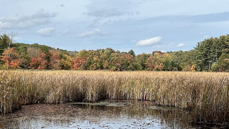 Haggetts Pond Trail - Andover, MA
