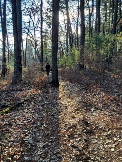 Haggetts Pond Trail - Andover, MA