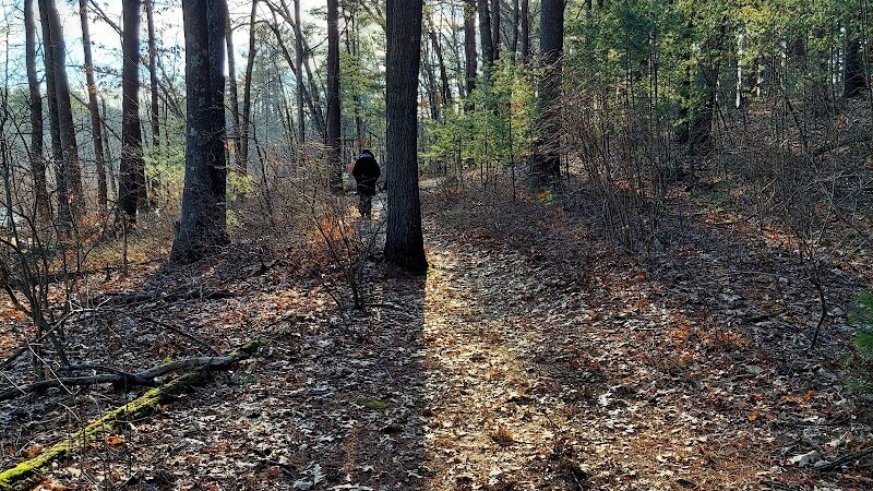 Haggetts Pond Trail - Andover, MA