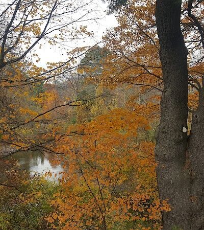 Haggetts Pond Trail - Andover, MA