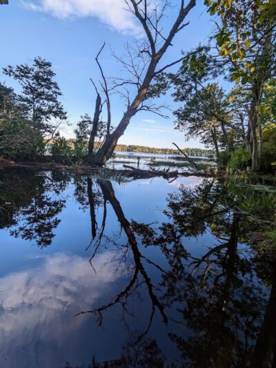 Haggetts Pond Trail - Andover, MA