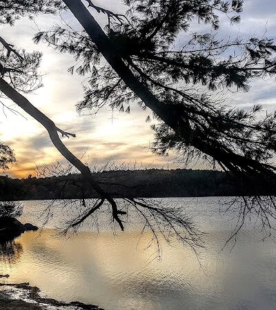 Haggetts Pond Trail - Andover, MA