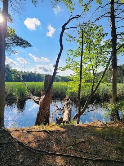 Haggetts Pond Trail - Andover, MA