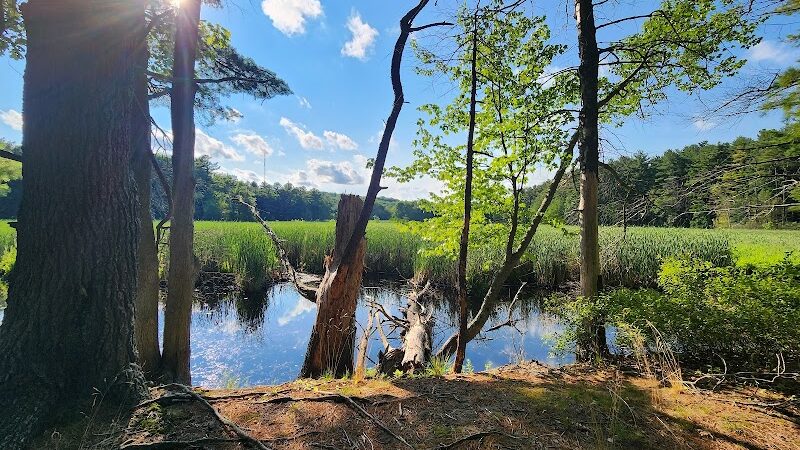 Haggetts Pond Trail - Andover, MA