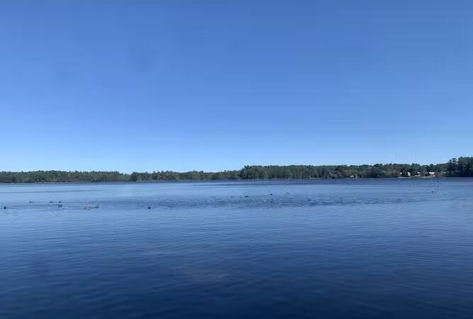 Haggetts Pond Trail - Andover, MA