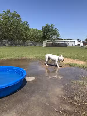 Officer Cash Memorial Dog Park - Angleton, TX