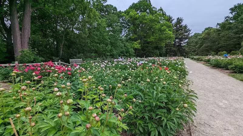 Arboretum Nature Area - Ann Arbor,