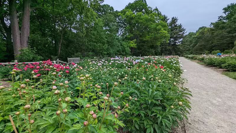 Arboretum Nature Area - Ann Arbor,