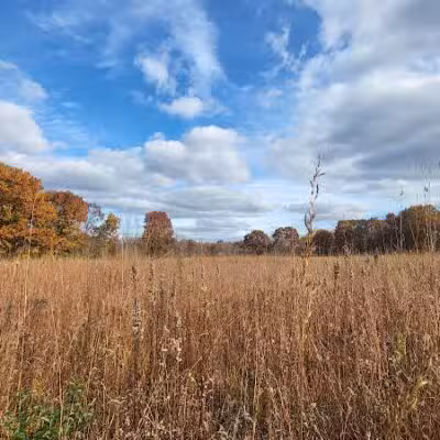 Arboretum Nature Area - Ann Arbor,