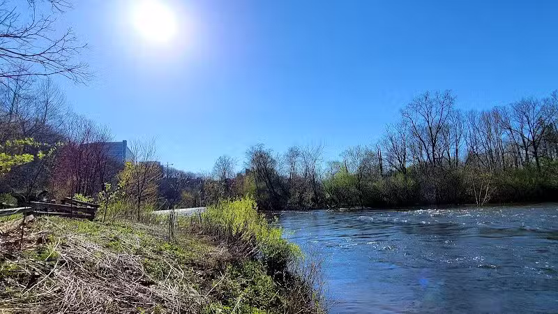 Arboretum Nature Area - Ann Arbor,