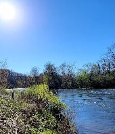 Arboretum Nature Area - Ann Arbor,