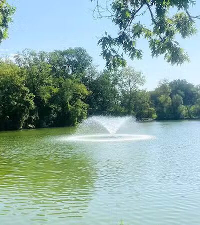 Bark Place - Ann Arbor,