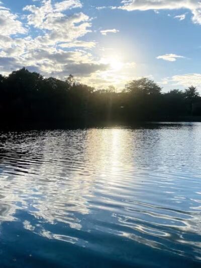 Bark Place - Ann Arbor,