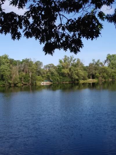 Bark Place - Ann Arbor,