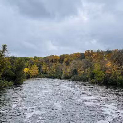 Barton Nature Area - Ann Arbor,