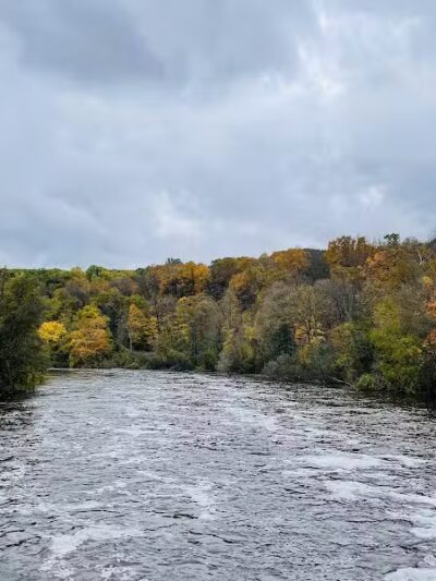 Barton Nature Area - Ann Arbor,