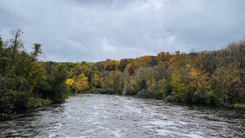 Barton Nature Area - Ann Arbor,