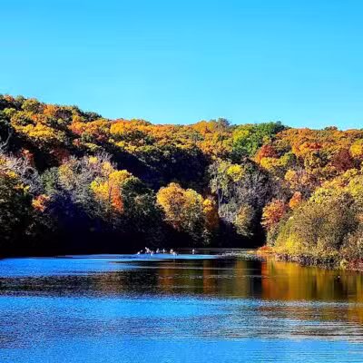 Barton Nature Area - Ann Arbor,