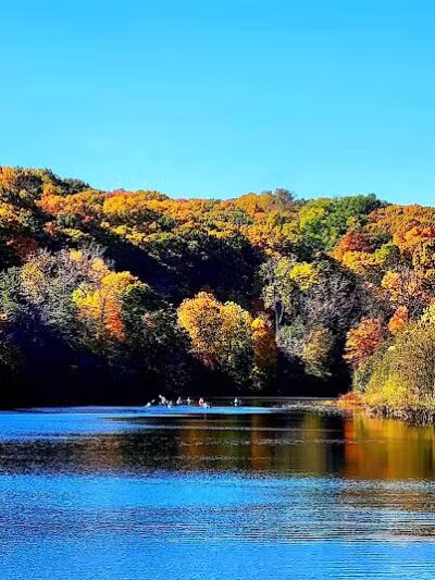 Barton Nature Area - Ann Arbor,