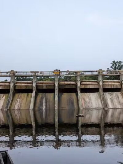 Barton Nature Area - Ann Arbor,