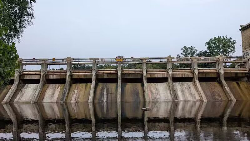 Barton Nature Area - Ann Arbor,