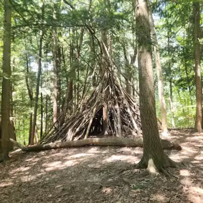 Bird Hills Nature Area - Ann Arbor,