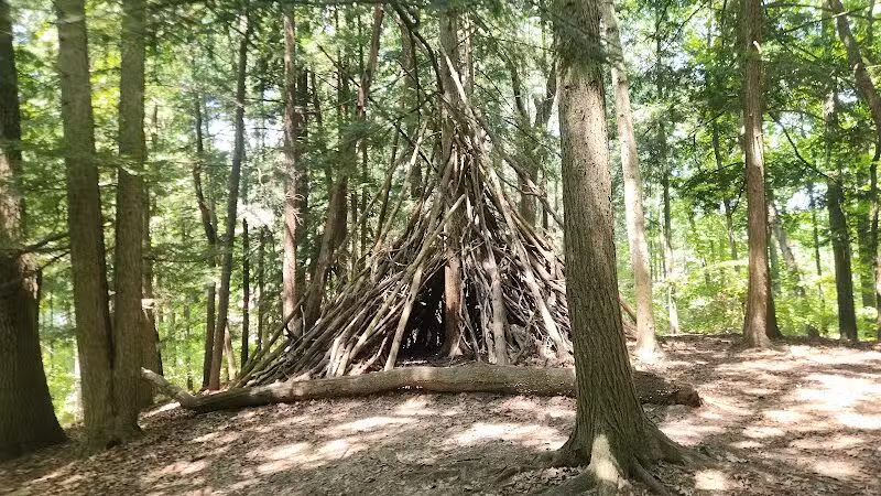 Bird Hills Nature Area - Ann Arbor,