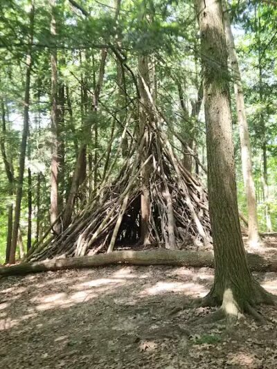 Bird Hills Nature Area - Ann Arbor,