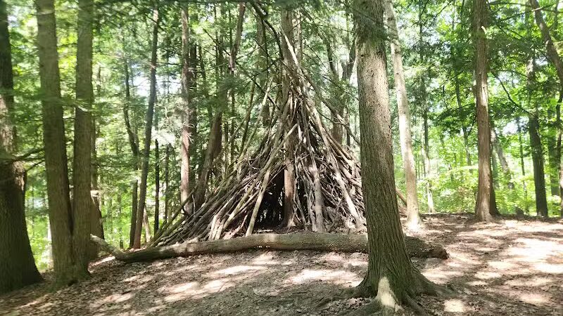 Bird Hills Nature Area - Ann Arbor,