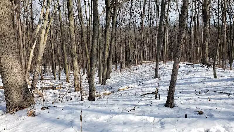 Bird Hills Nature Area - Ann Arbor,
