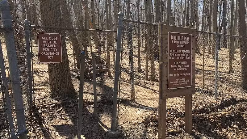 Bird Hills Nature Area - Ann Arbor,