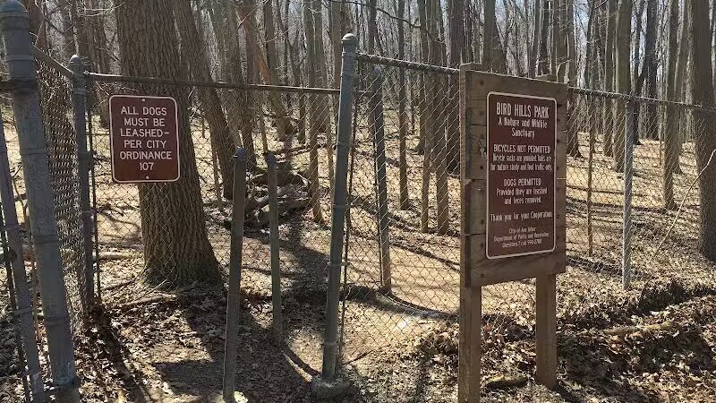 Bird Hills Nature Area - Ann Arbor,