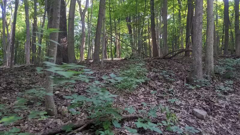 Bird Hills Nature Area - Ann Arbor,