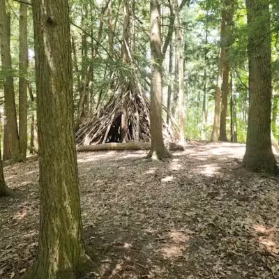 Bird Hills Nature Area - Ann Arbor,