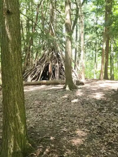 Bird Hills Nature Area - Ann Arbor,