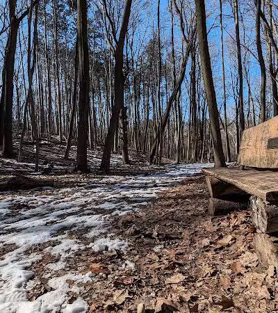 Bird Hills Nature Area - Ann Arbor,