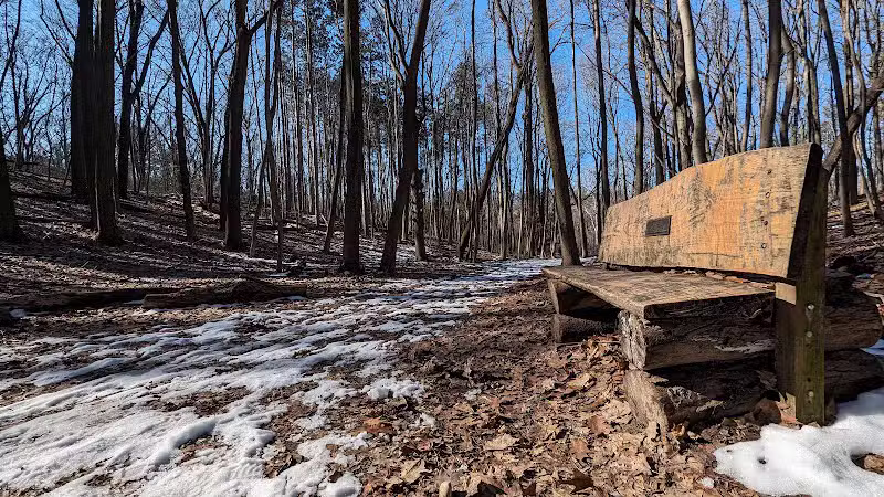 Bird Hills Nature Area - Ann Arbor,