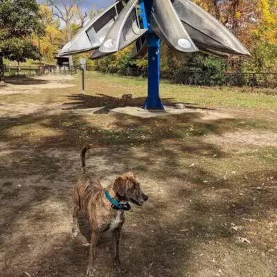 Broadway Park - Ann Arbor,