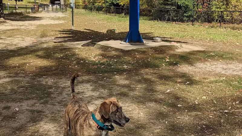 Broadway Park - Ann Arbor,