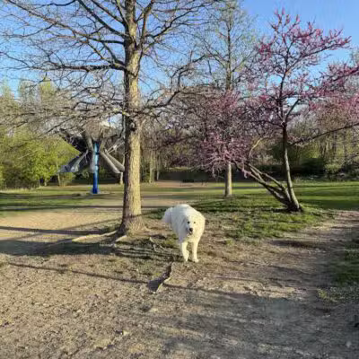 Broadway Park - Ann Arbor,